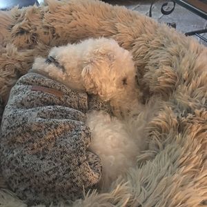 Meet your Posher, Sharon